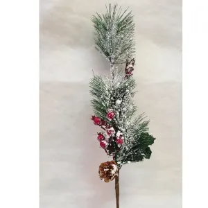 Snowy Twig