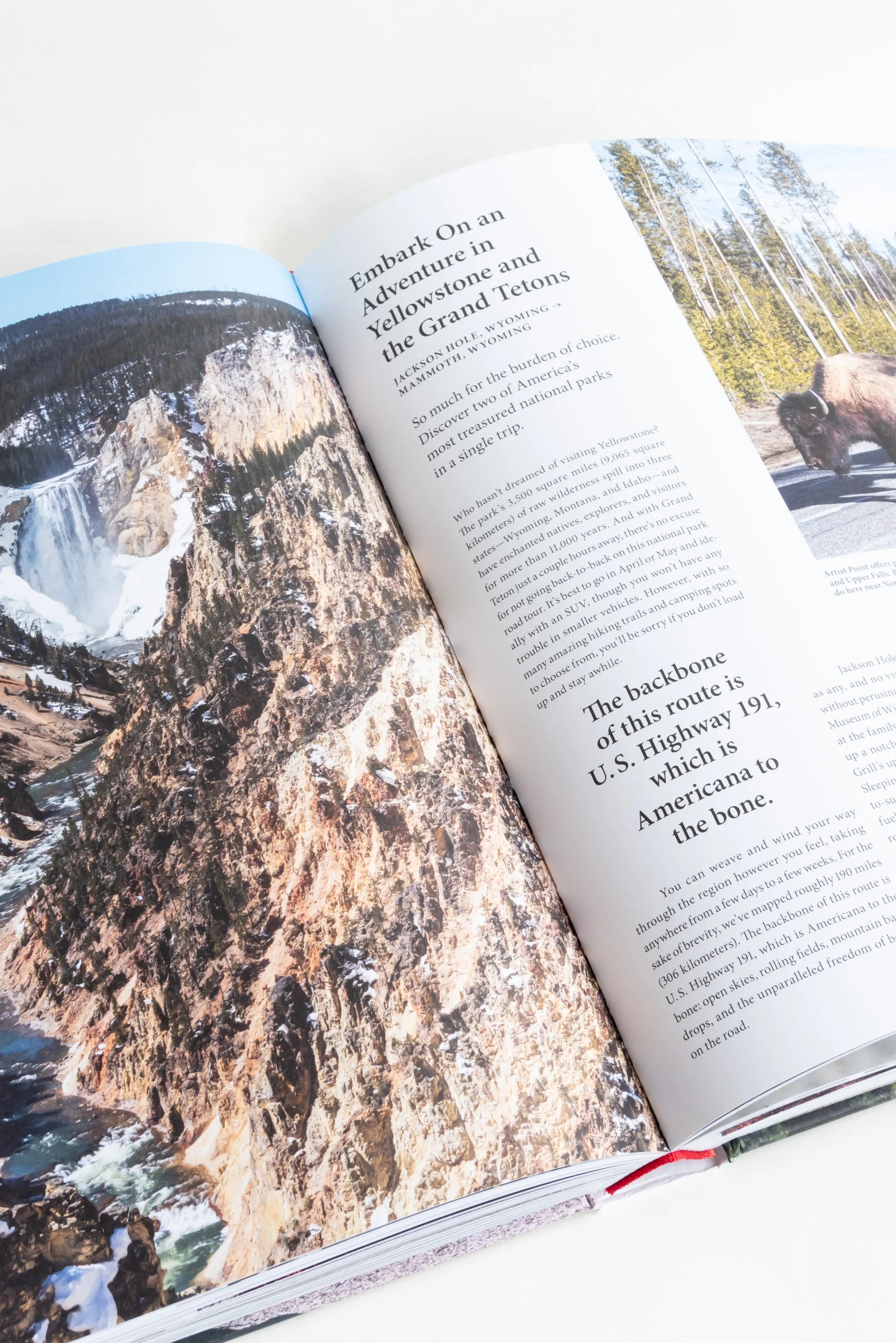 The Great American Road Trip